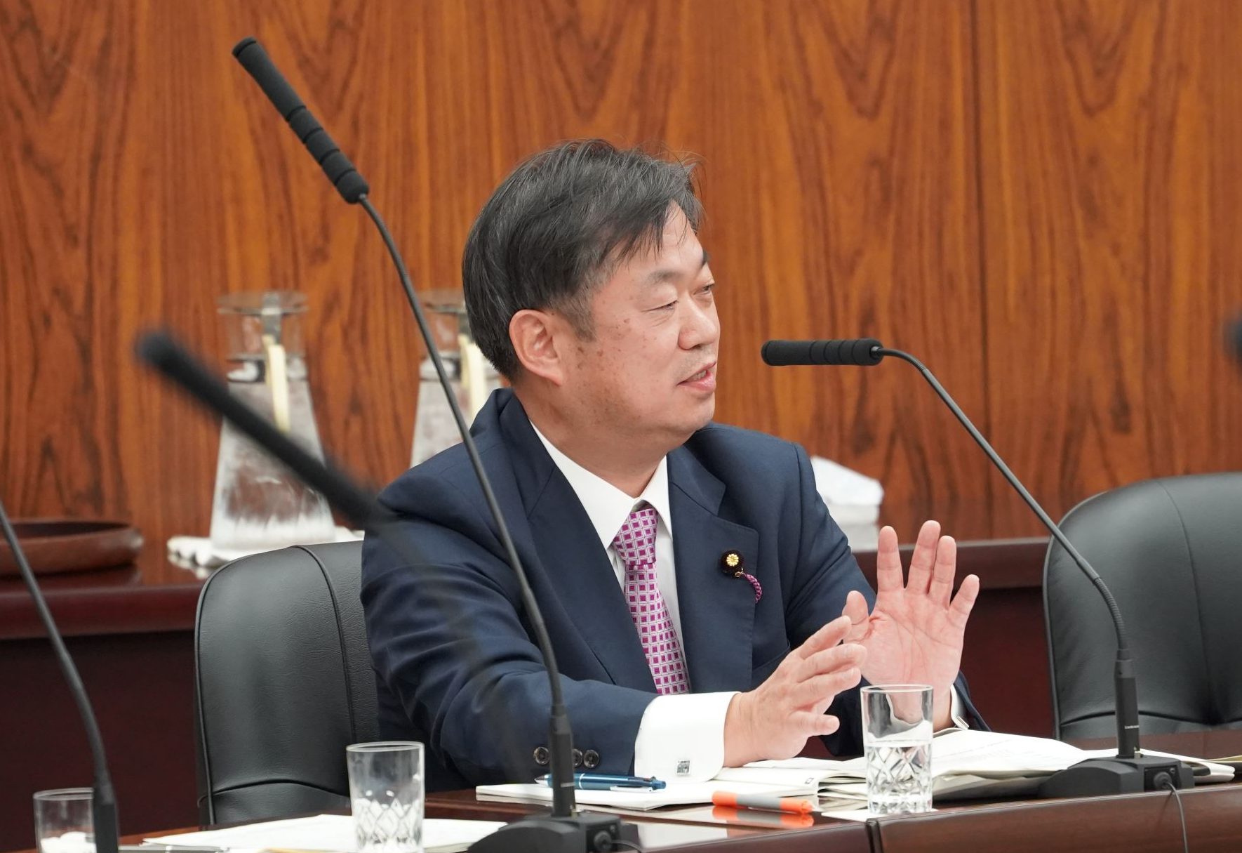 資源エネルギー・持続可能調査会に関する調査会で参考人質疑